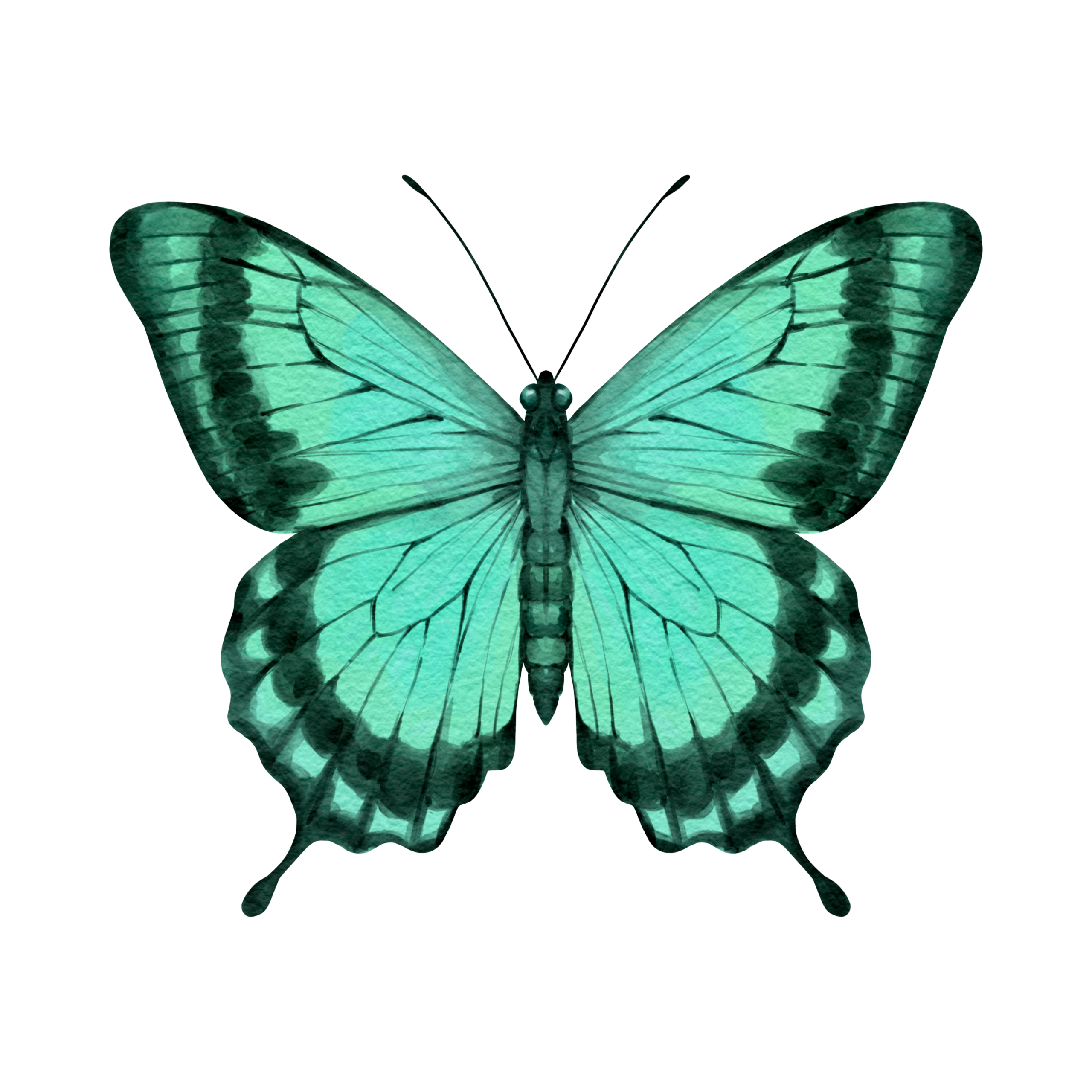 Rebekka Hermann – Dipl. Hypnosystemische Coach und Trainerin, Lösungsorientierte hypnosystemische Kurzzeittherapie und Coaching